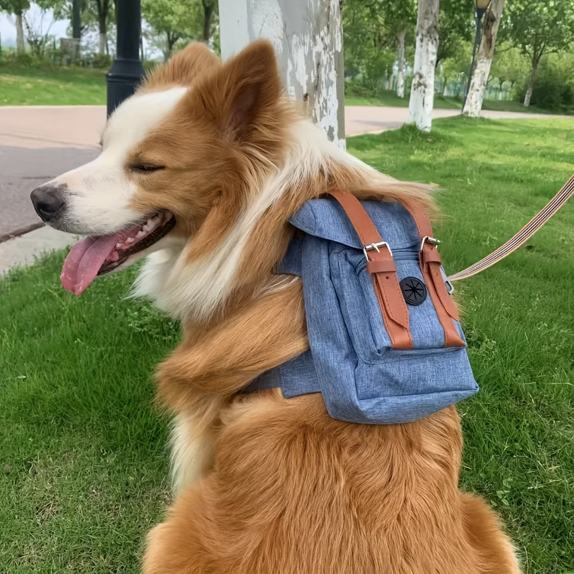 Adjustable Pet Carrier Backpack with Safety Harness