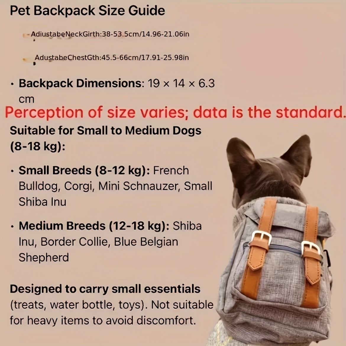 Adjustable Pet Carrier Backpack with Safety Harness