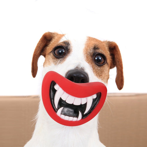 1/2-Pack TPR Squeaky Puppy Chew Toy - 1pc