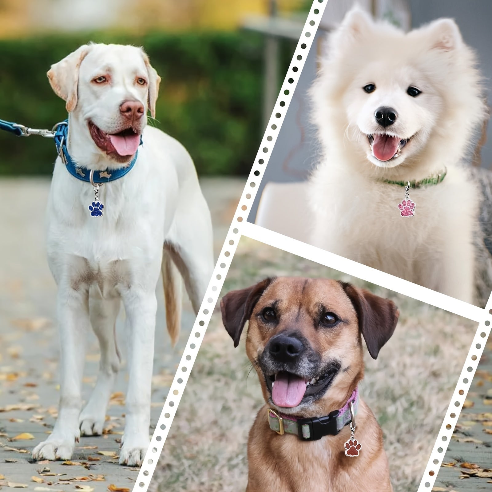 Personalized Engraved Pet ID Tag - Golden, One-size