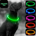 USB Rechargeable LED Dog Safety Collar - Value Set-5Pcs, One-size