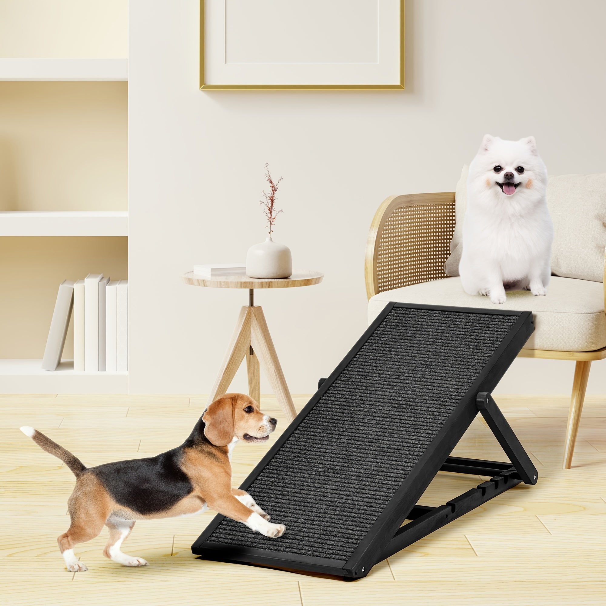 Adjustable Folding Pet Ramp, 200 lb Capacity - 1