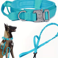 Heavy-Duty Dog Collar and Leash Set - Green, M