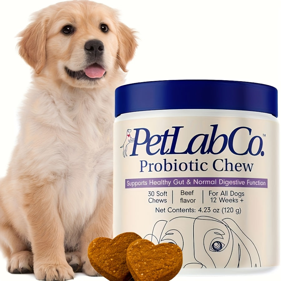 Dog Probiotic & Prebiotic Chews - 3pc-Best