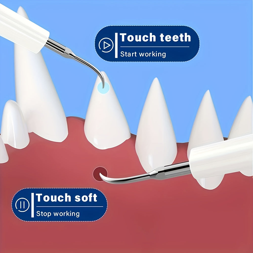 USB Rechargeable Pet Dental Cleaning Kit