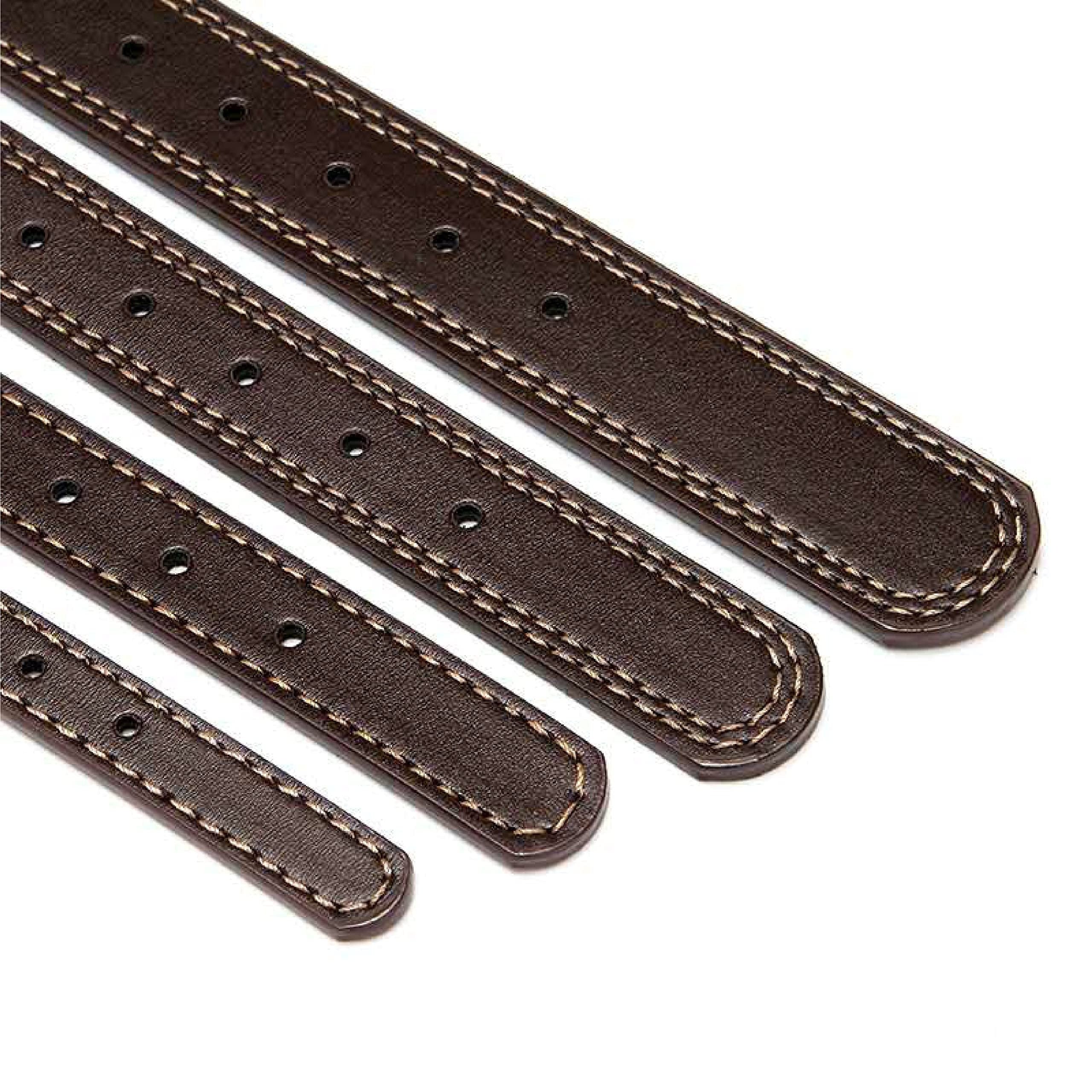Personalized Dog Collar with Engraved Nameplate