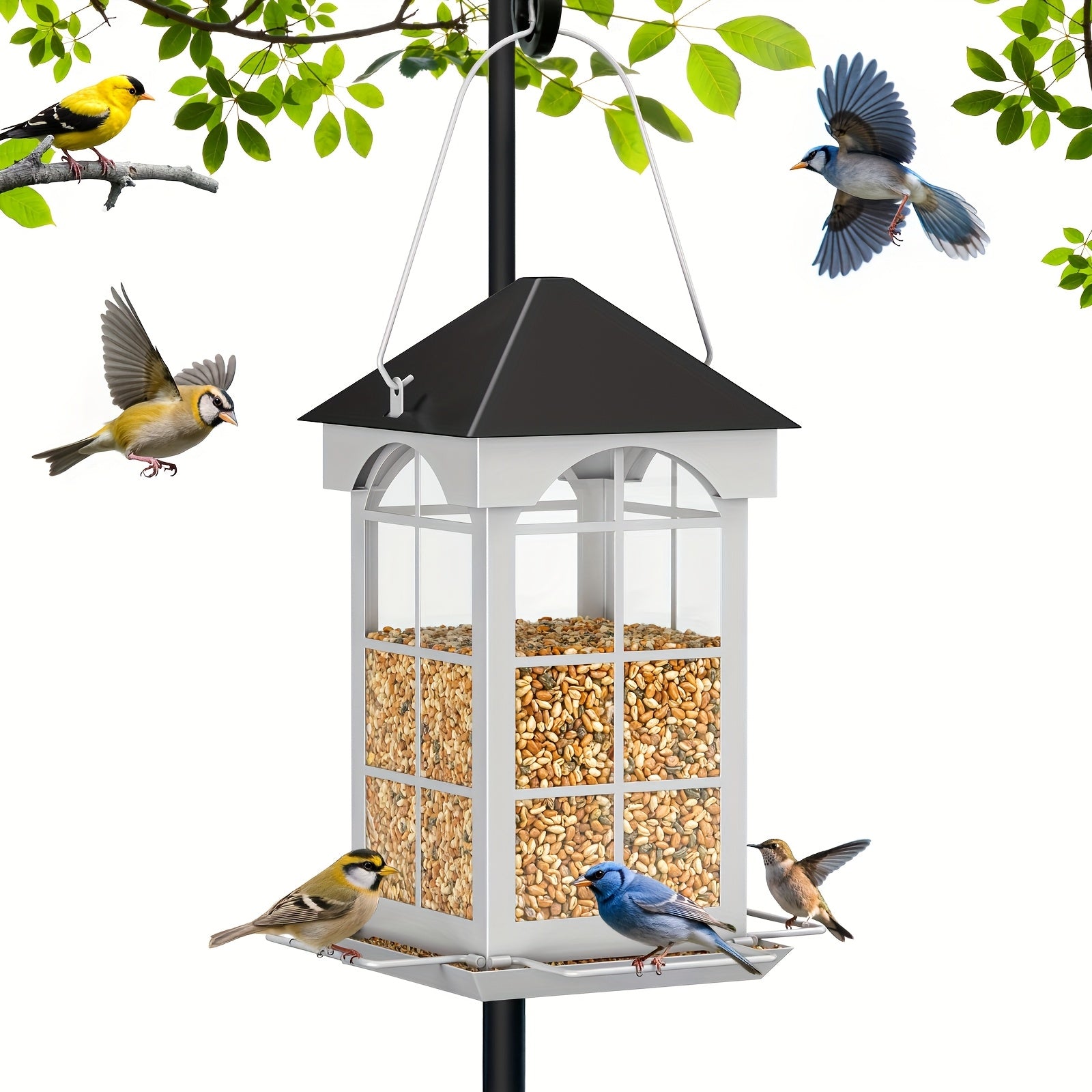 5 lb Squirrel-Resistant Outdoor Bird Feeder