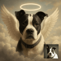Personalized Angel Pet Memorial Canvas - 8*12*1.2in, Vertical