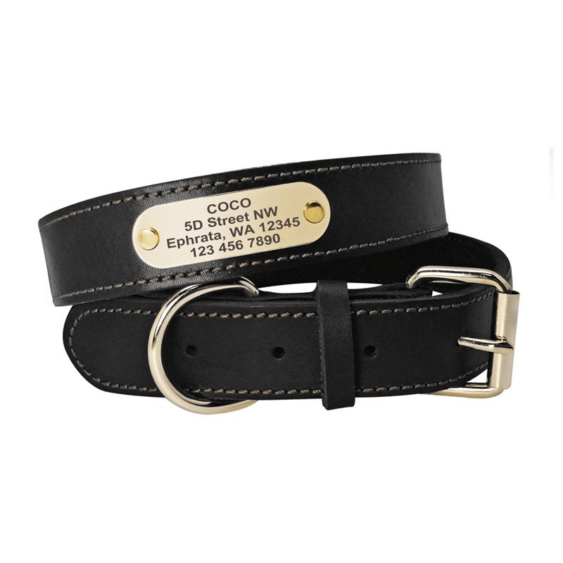 Personalized Dog Collar with Engraved ID Tag - Dark Brown-1, M