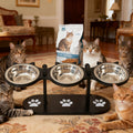 15° Tilted Elevated Pet Bowl Stand - 2 Black Bowls