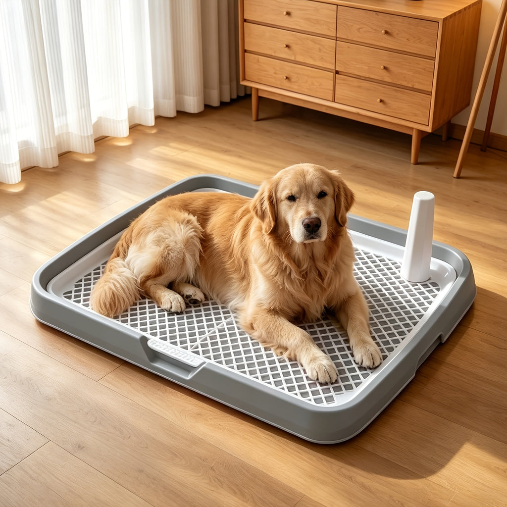 Detachable Indoor Dog Potty Tray with Toy Ball - Yellow, 18.9*14.2*2.5inch