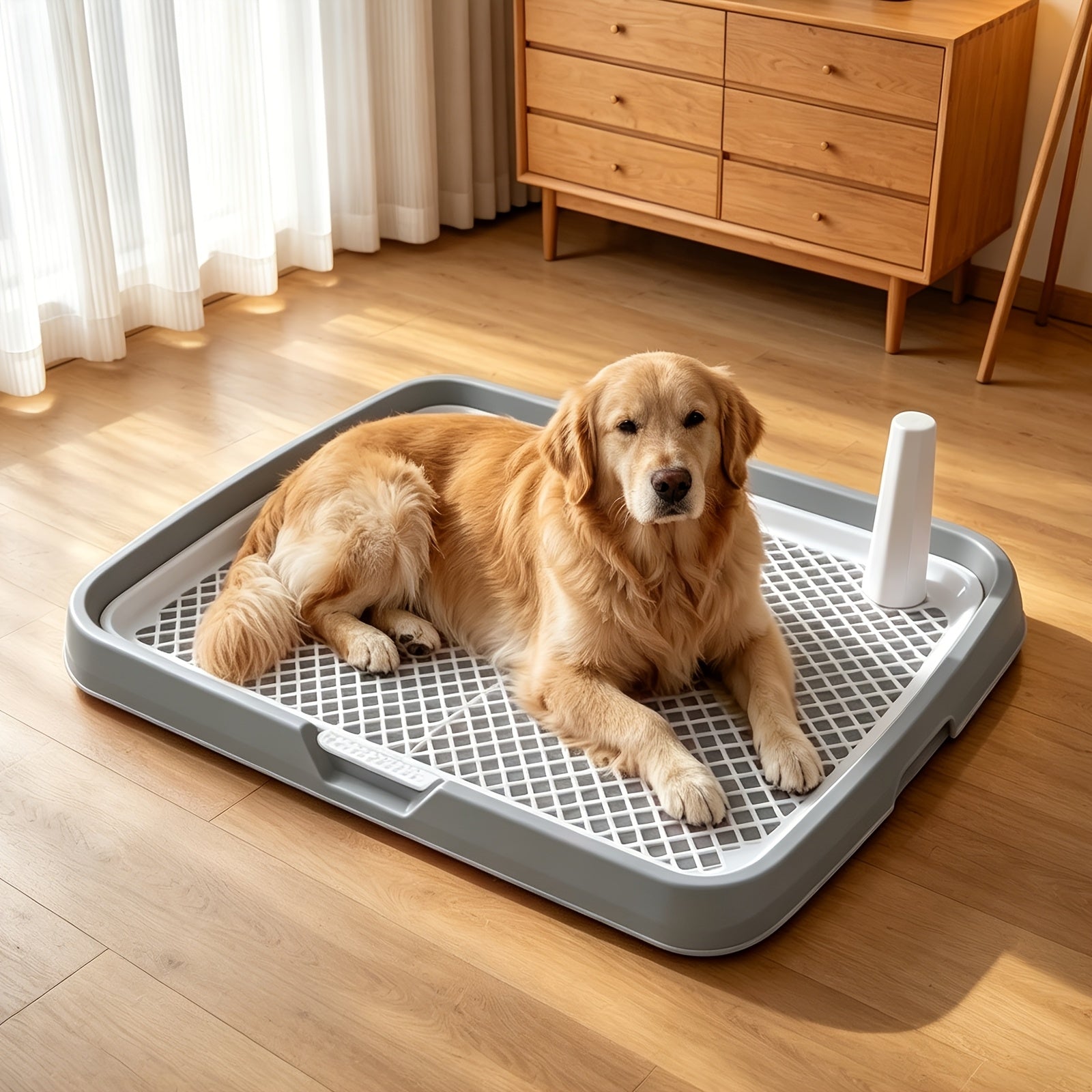 Detachable Indoor Dog Potty Tray with Toy Ball - Yellow, 18.9*14.2*2.5inch