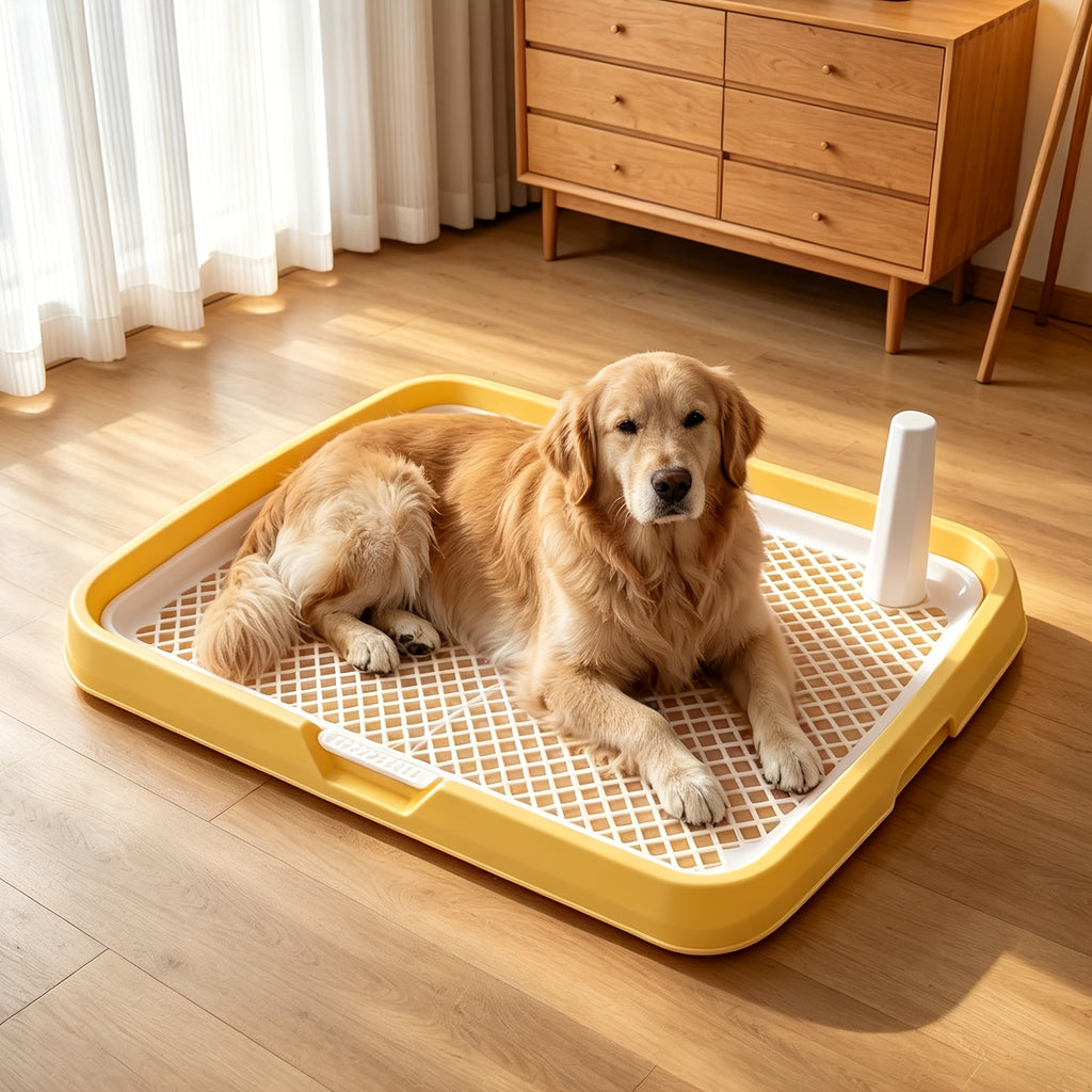 Detachable Indoor Dog Potty Tray with Toy Ball - Blue, 18.9*14.2*2.5inch