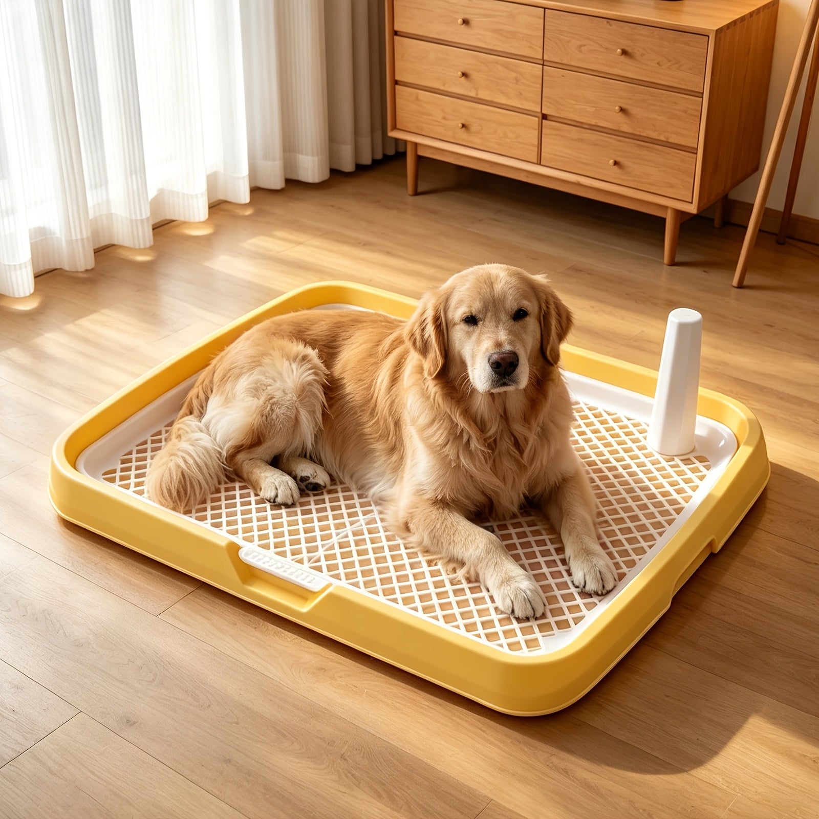 Detachable Indoor Dog Potty Tray with Toy Ball - Blue, 18.9*14.2*2.5inch