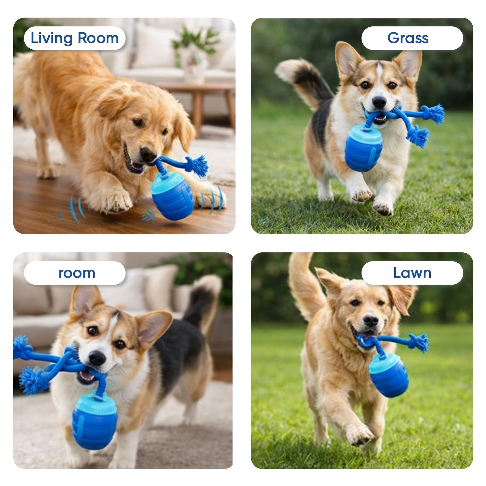 Smart Interactive Dog Exercise Ball