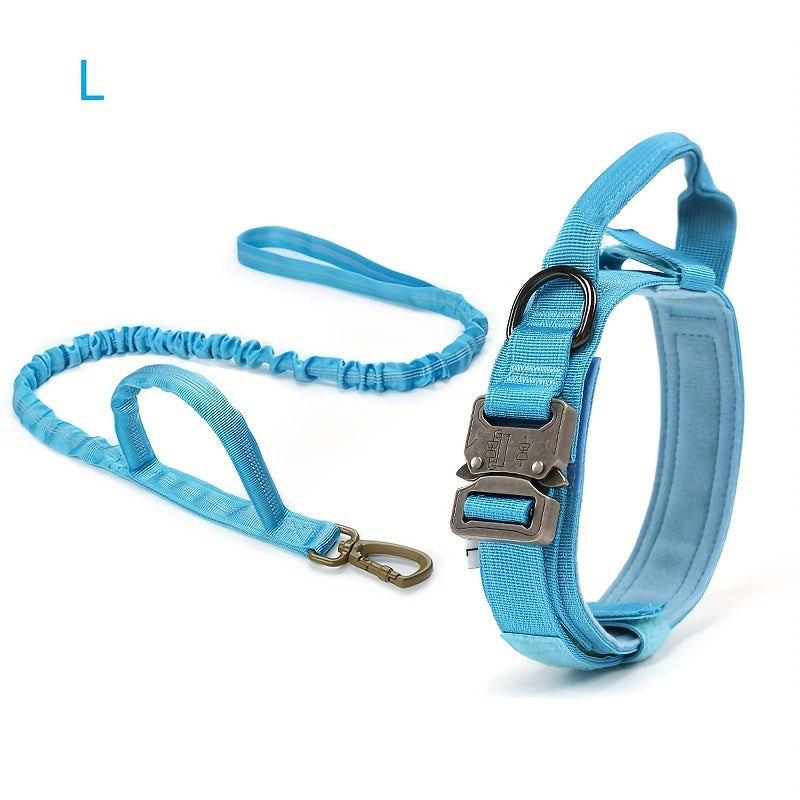Heavy-Duty Dog Collar and Leash Set - Snow Scape, L