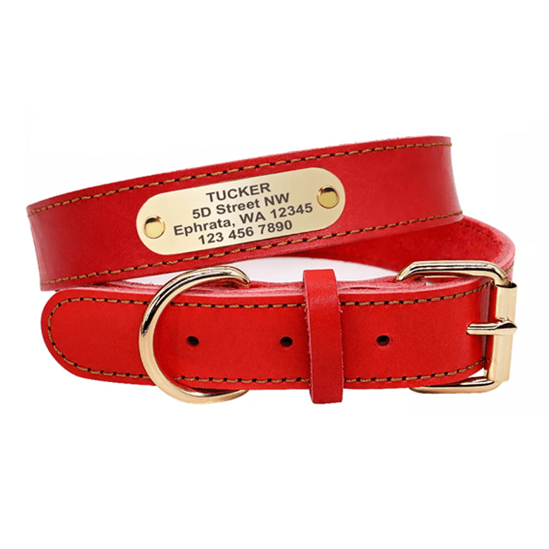 Personalized Dog Collar with Engraved ID Tag - Dark Brown-1, L