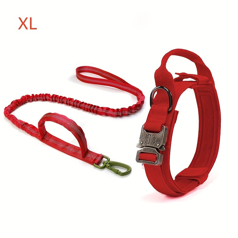 Heavy-Duty Dog Collar and Leash Set - Snow Scape, XL