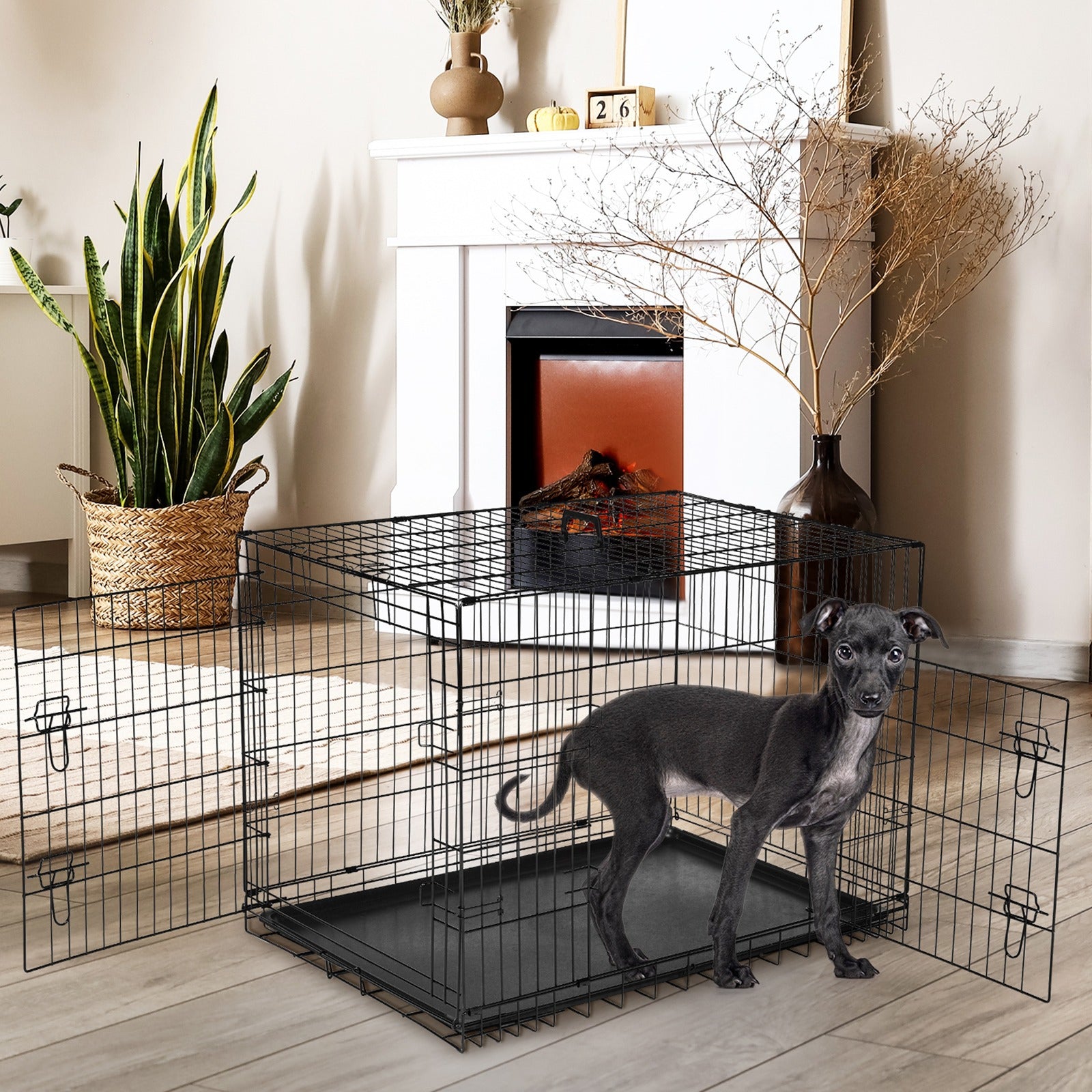 Folding Wire Dog Crate with Removable Tray