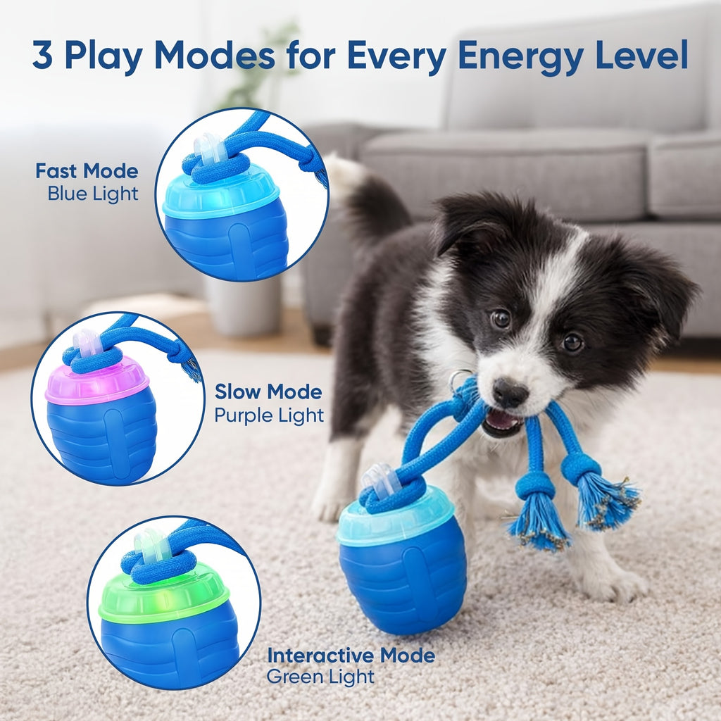 Smart Interactive Dog Exercise Ball