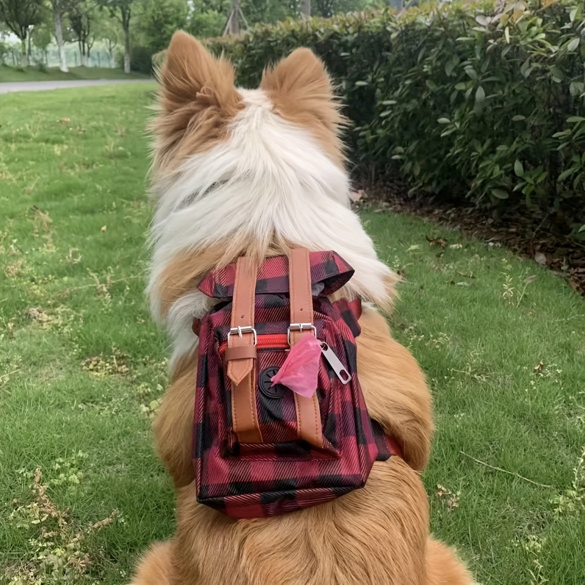 Adjustable Pet Carrier Backpack with Safety Harness