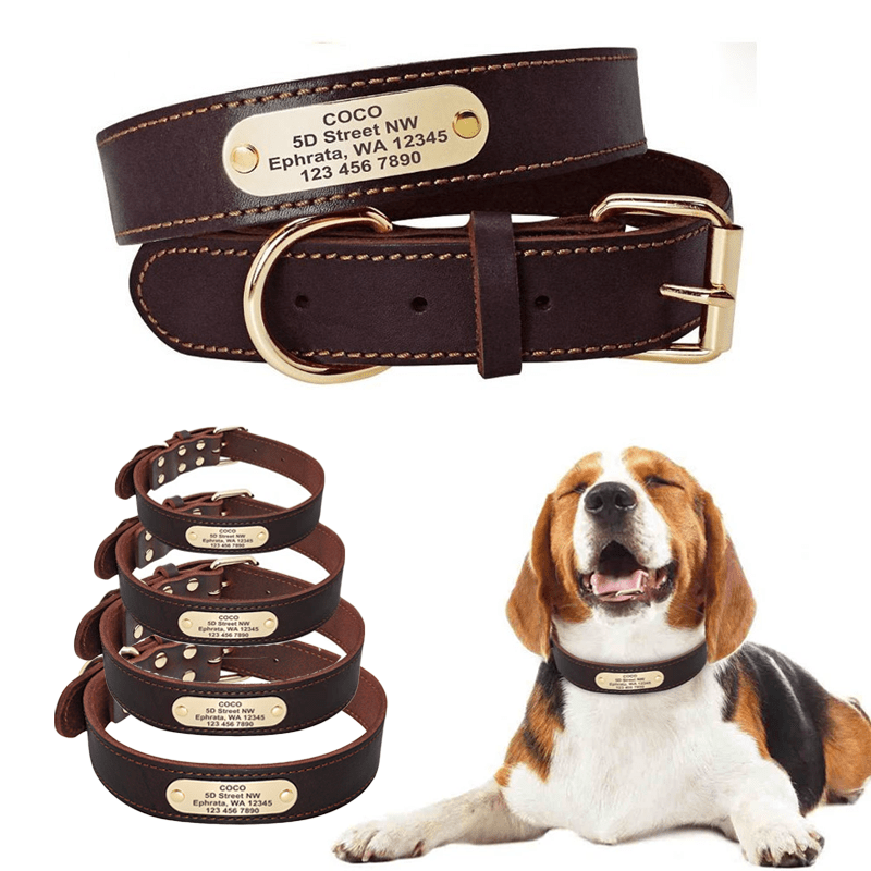 Personalized Dog Collar with Engraved ID Tag - Black, M