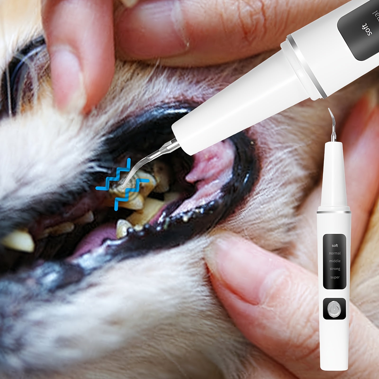 USB Rechargeable Pet Dental Cleaning Kit