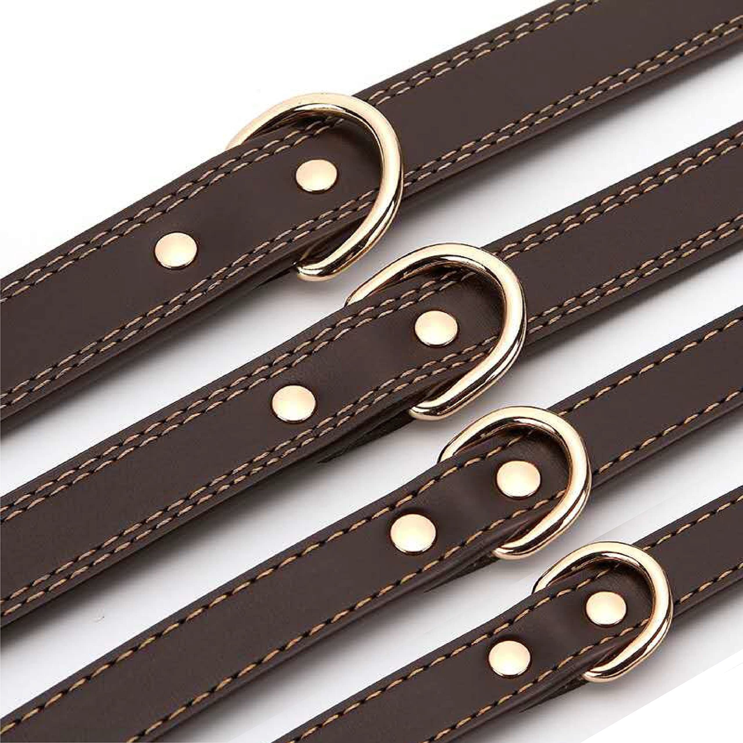 Personalized Dog Collar with Engraved Nameplate