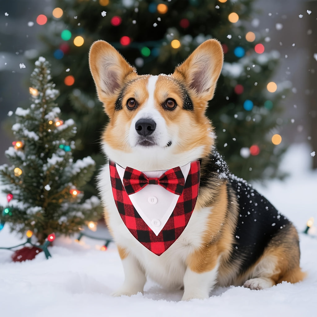 Plaid Bow Tie Pet Collar - XS, Wedding