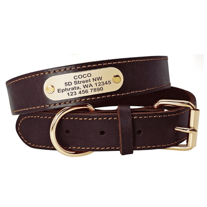 Personalized Dog Collar with Engraved ID Tag - Black, L